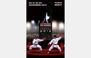 Déplacement aux Championnats du Monde Karaté 2012