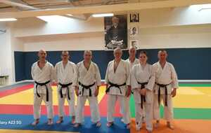 Stage Hervé Delage, expert fédéral 8e dan