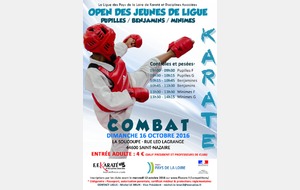 Open des jeunes de Ligue