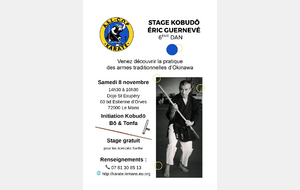 Stage Kobudo avec Eric Guernevé - 6e Dan