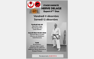 Stage Karaté avec Hervé Delage, expert 8e Dan