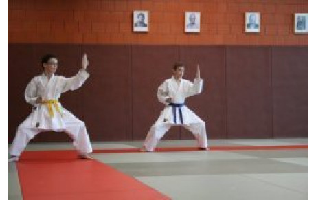Les 7 et 8 avril 2012 - Stage kata à Allonnes