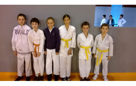 Championnat Départemental Kumité