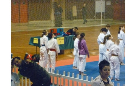 Coupe de Ligue Kumité Poussins-Pupilles-Benjamins Elite
