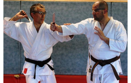 Cours de Karaté Kobudo Silat