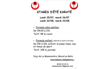 Stages été Moncé  en Belin